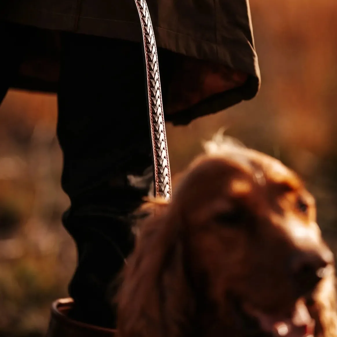 Welligogs Dogs*Extendable Leather Dog Lead